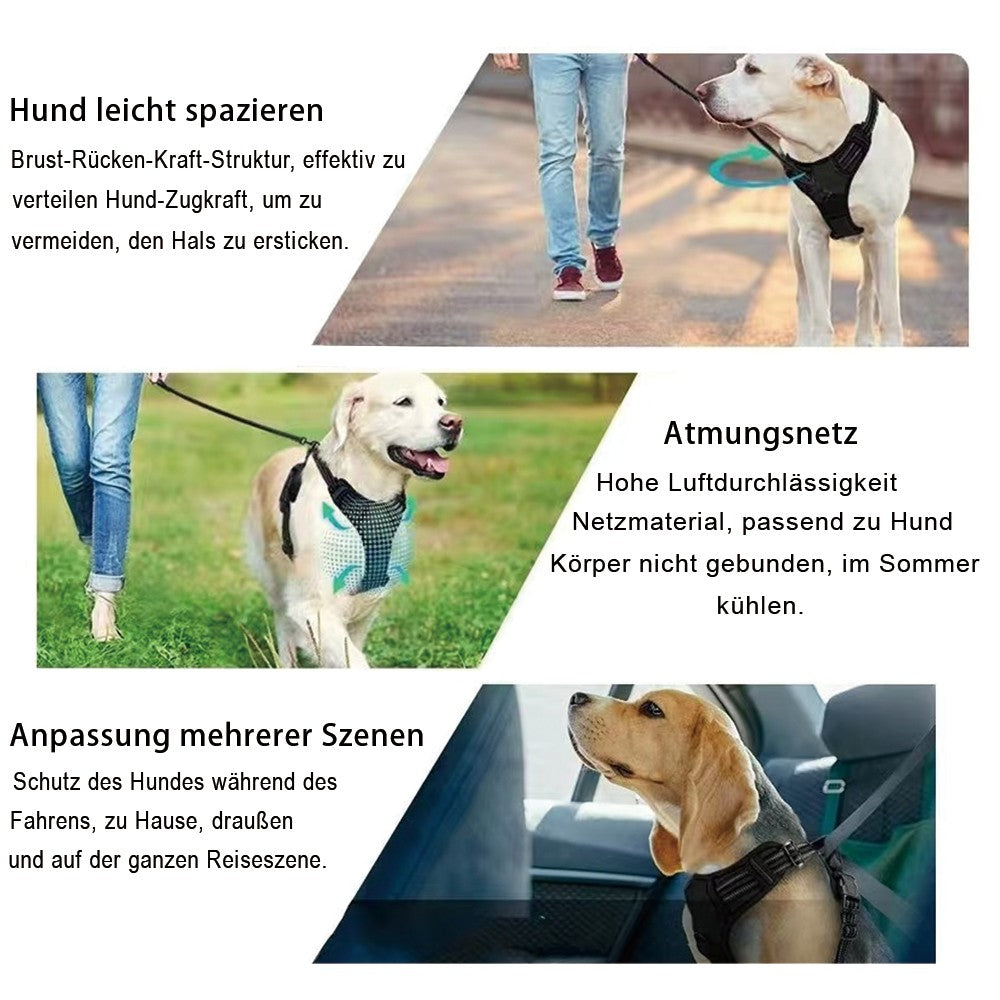 No-pull dog harness, poop bag dispenser set – alternate view
