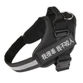 Personalized dog harness, no-pull, custom patch – alternate view