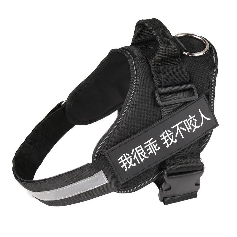 Personalized dog harness, no-pull, custom patch – alternate view