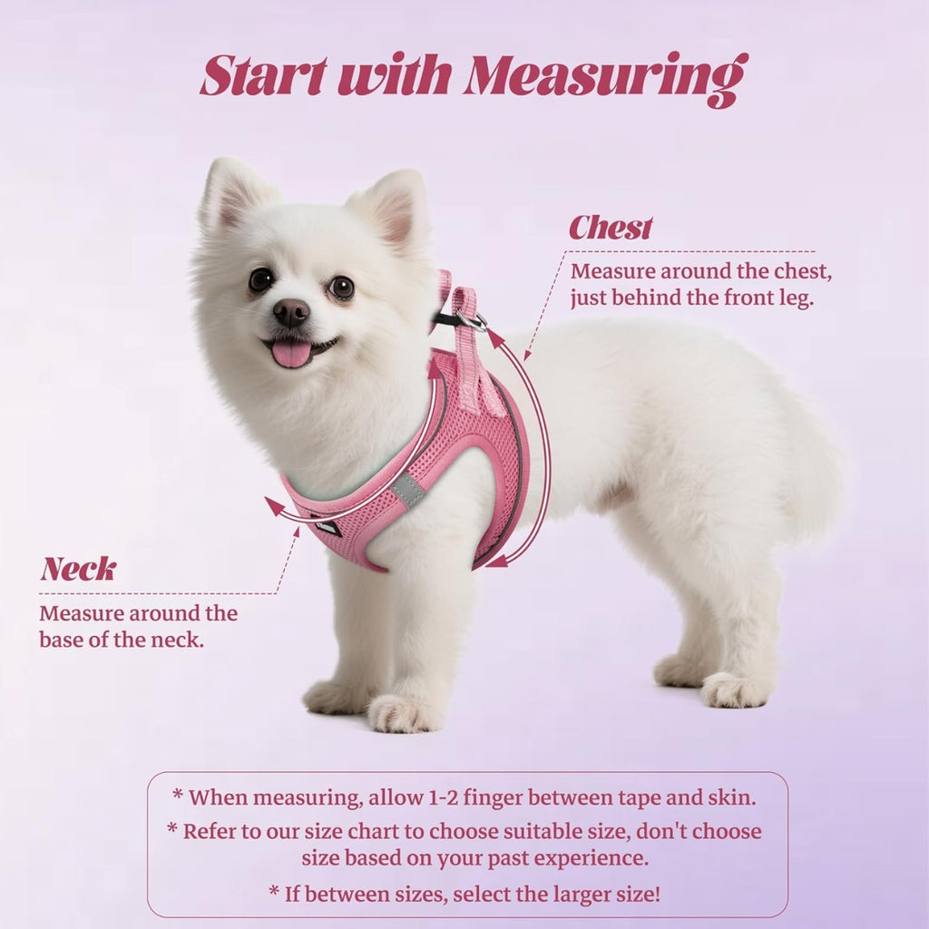 No-pull puppy harness & leash set, reflective mesh – alternate view