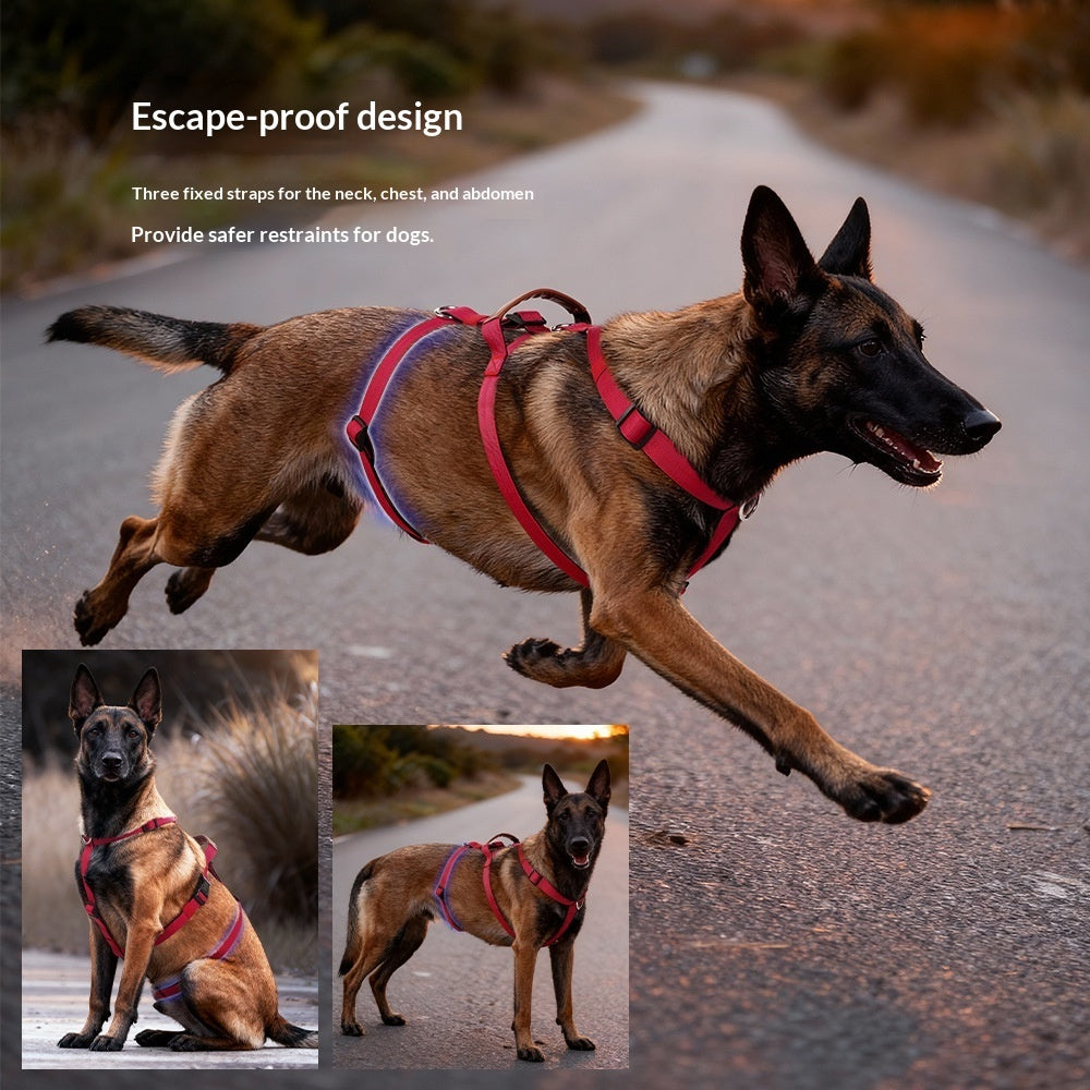 Anti-pull dog harness, medium & large dogs – alternate view