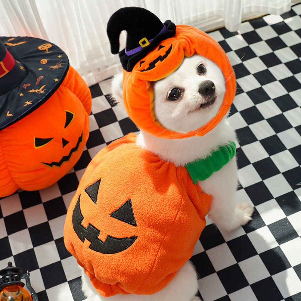 Pumpkin vest harness, pet Halloween costume – alternate view